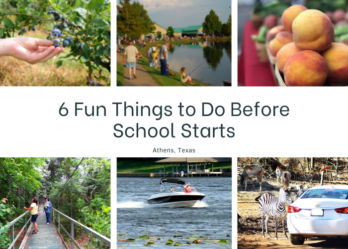 6 Fun Things to Do in Athens Before School Starts